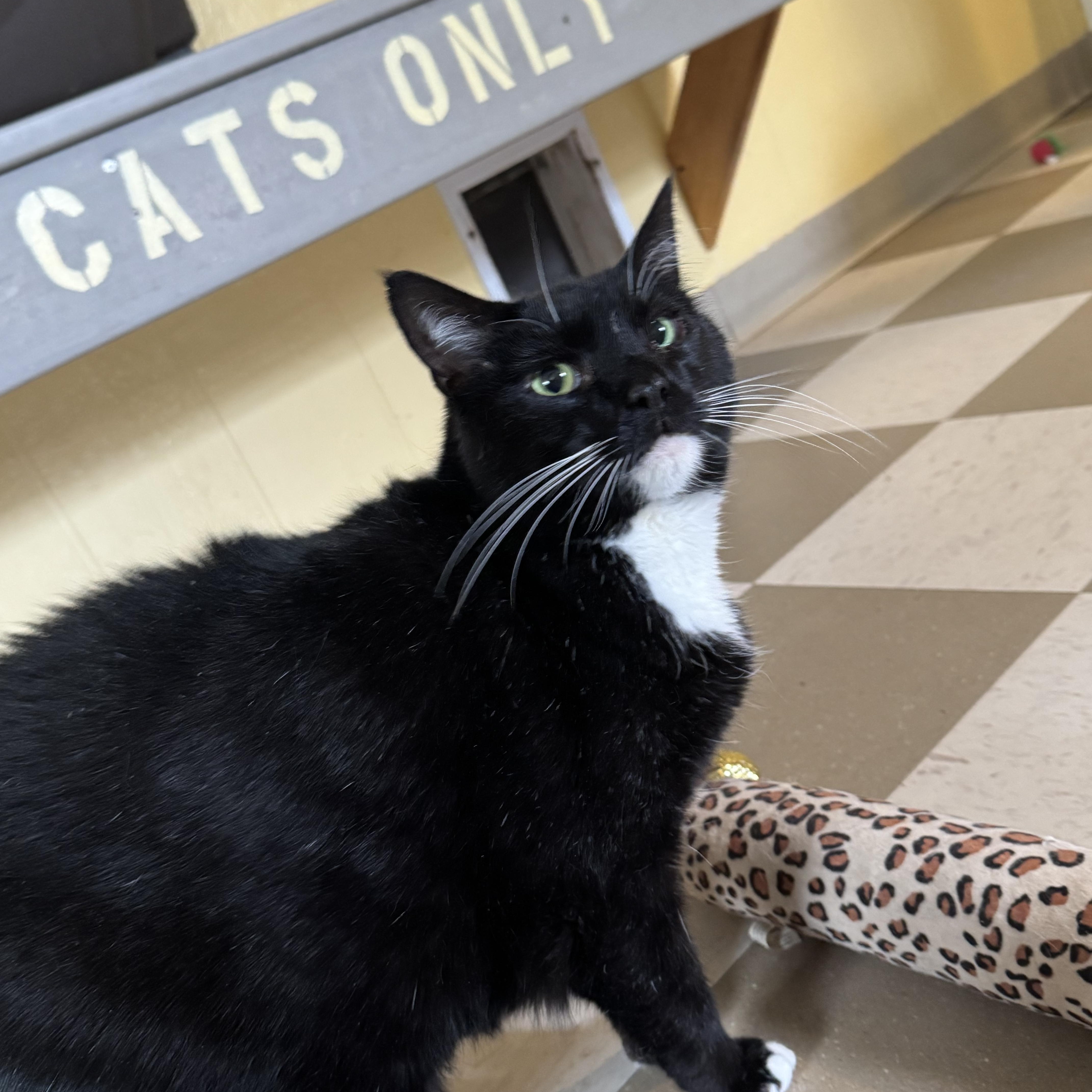 Sky Lucas thumbnail 2