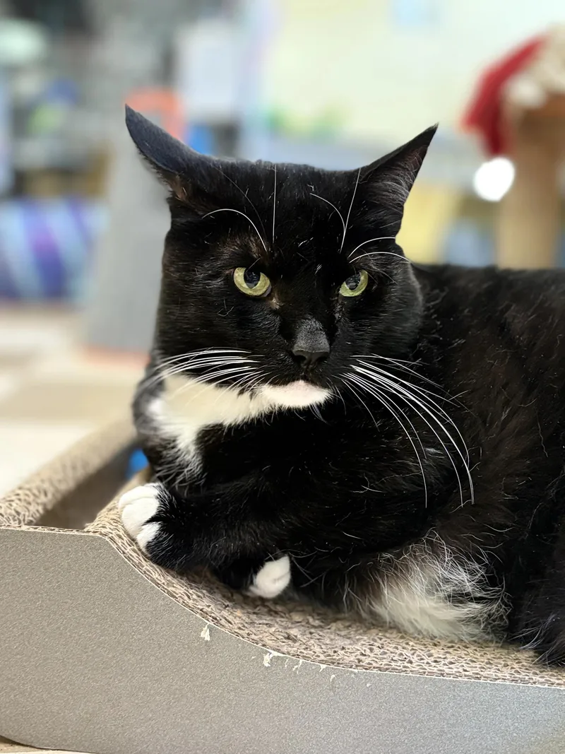 Sky Lucas thumbnail 3