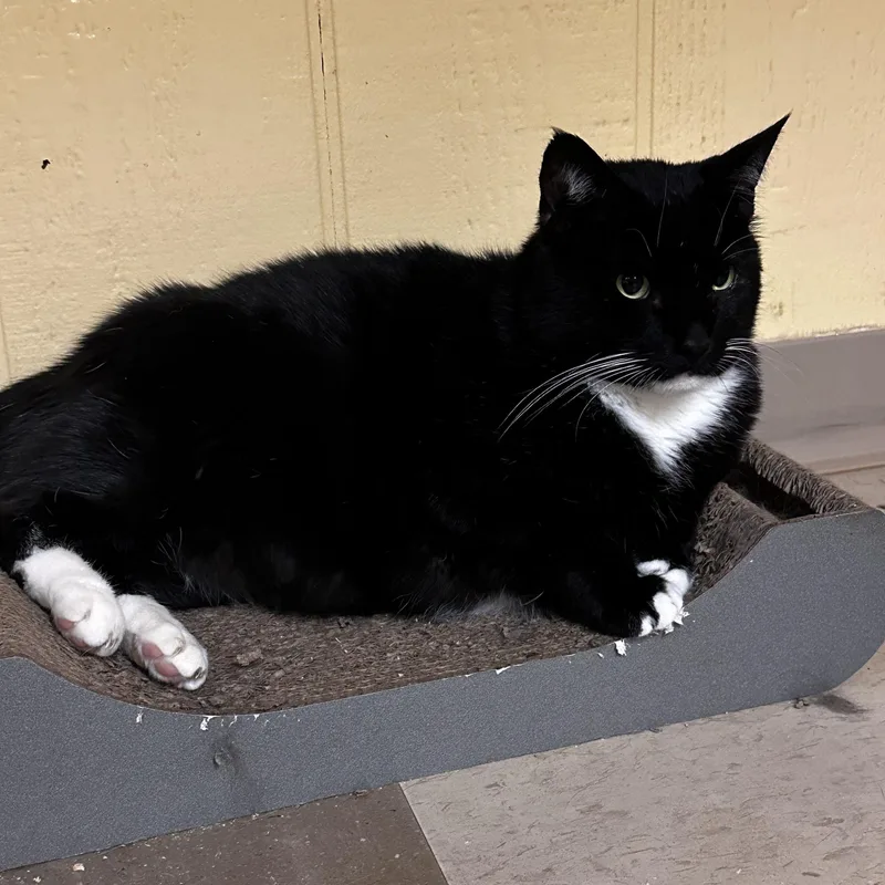 Sky Lucas thumbnail 4