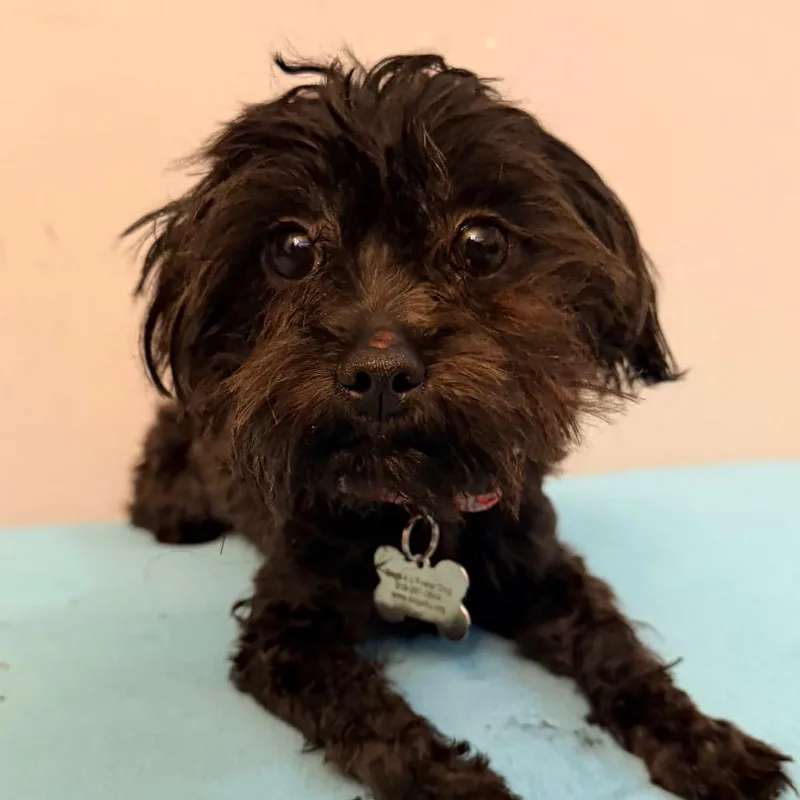 Coco