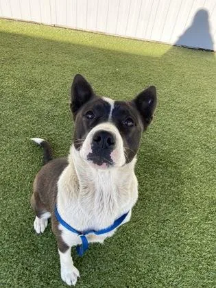 Yoko Ono thumbnail 2