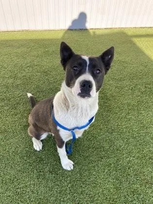 Yoko Ono thumbnail 3