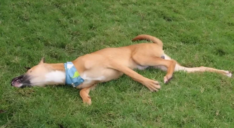 Timmy "a Loveable Guy!" thumbnail 4