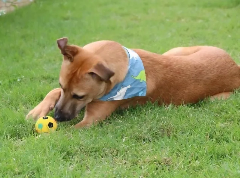 Timmy "a Loveable Guy!" thumbnail 5