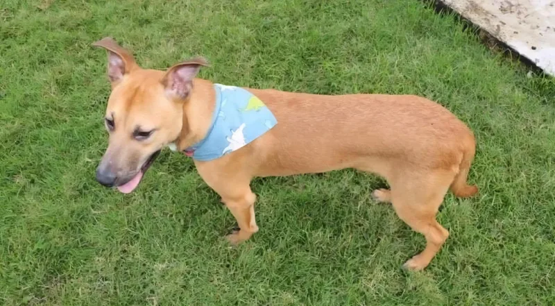 Timmy "a Loveable Guy!" thumbnail 6