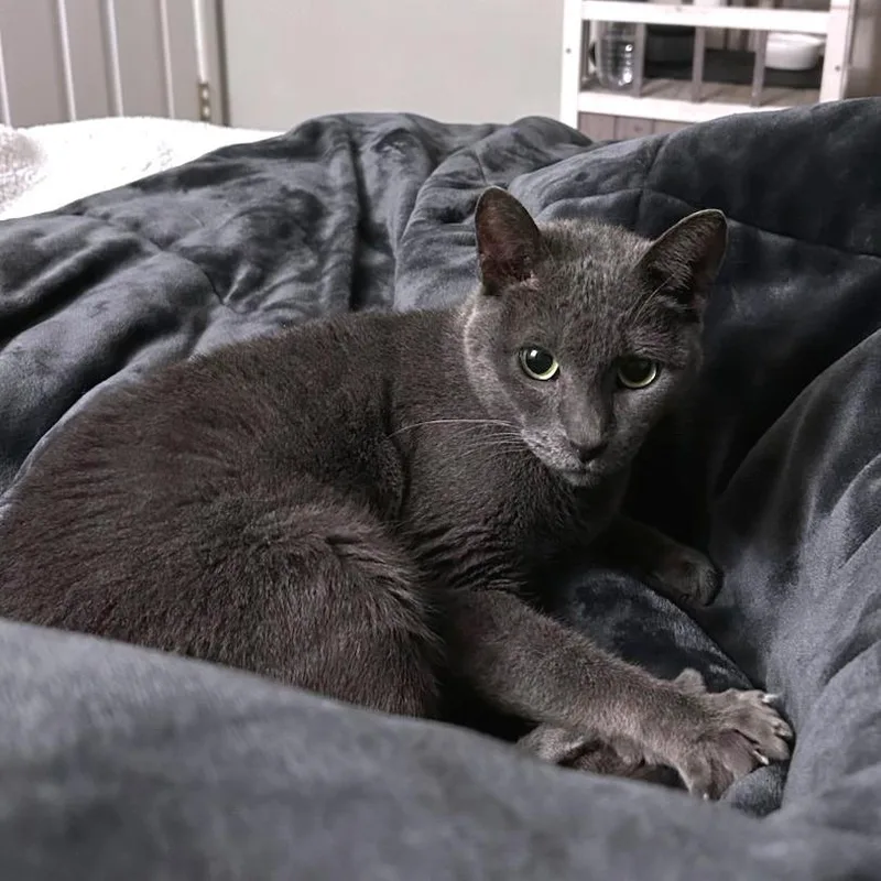 Friendly thumbnail 2