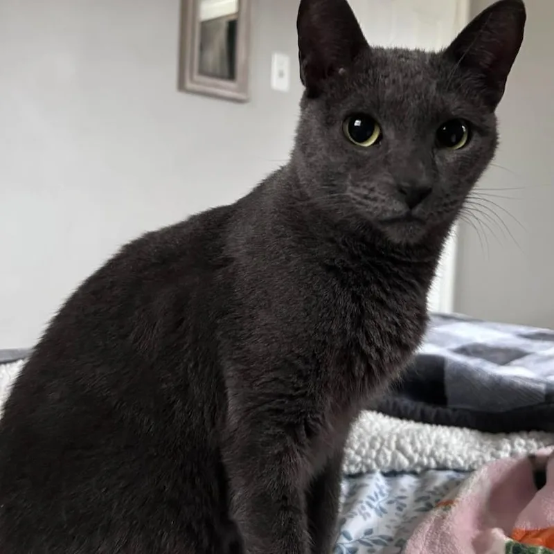 Friendly thumbnail 3