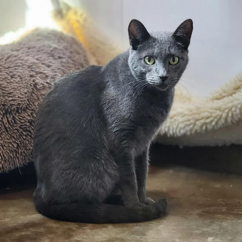 Friendly thumbnail 4