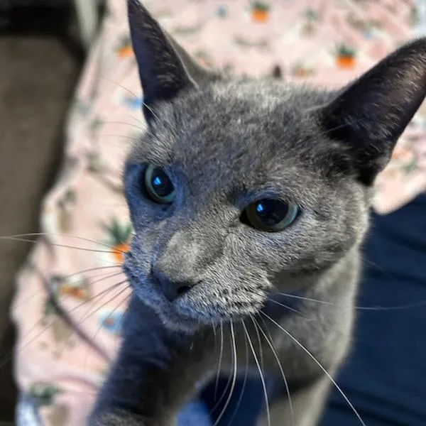 Friendly thumbnail 5