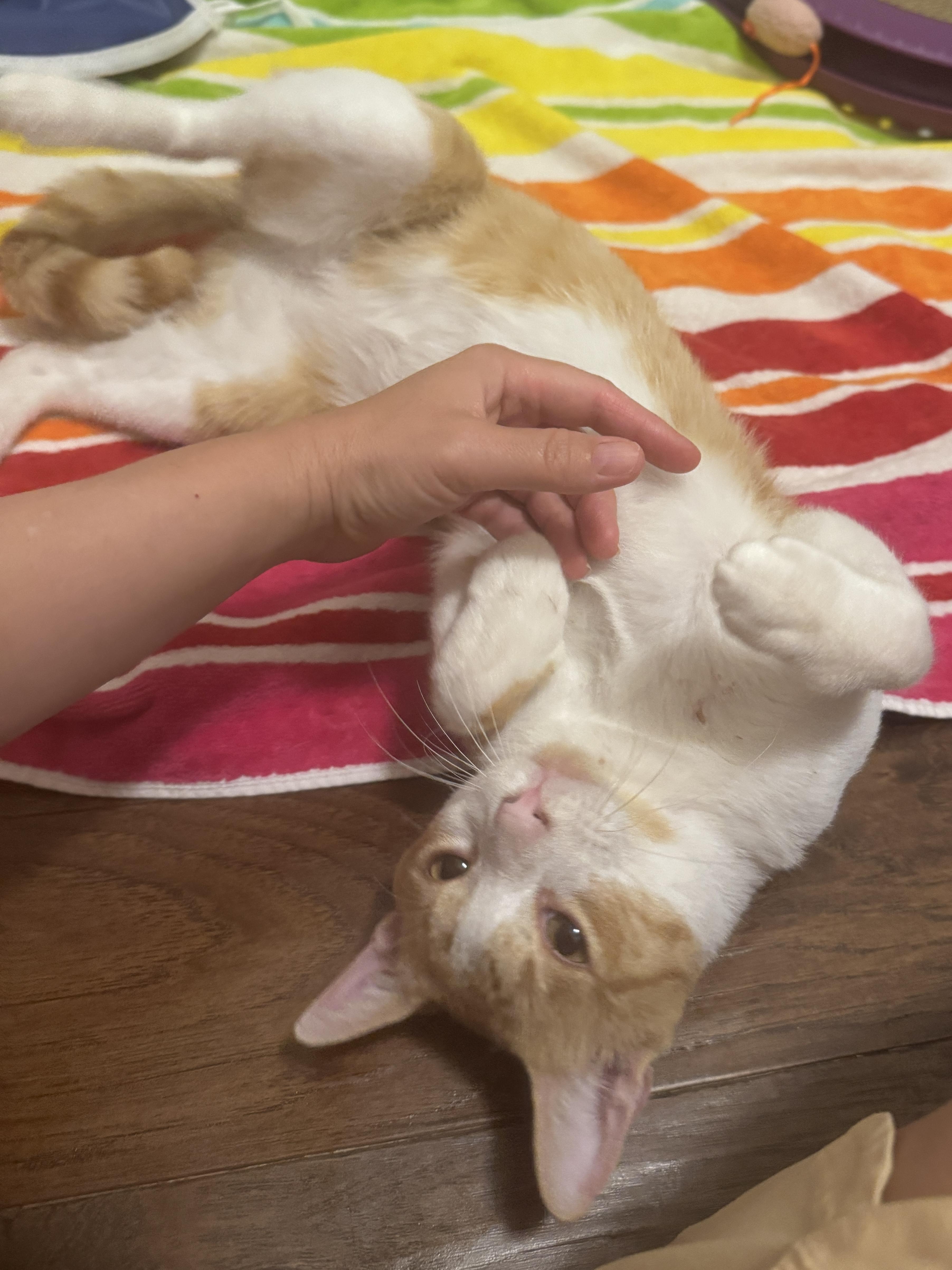 Tater thumbnail 2