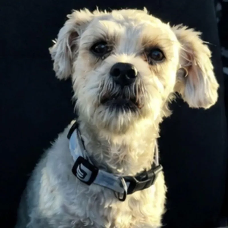 Walter