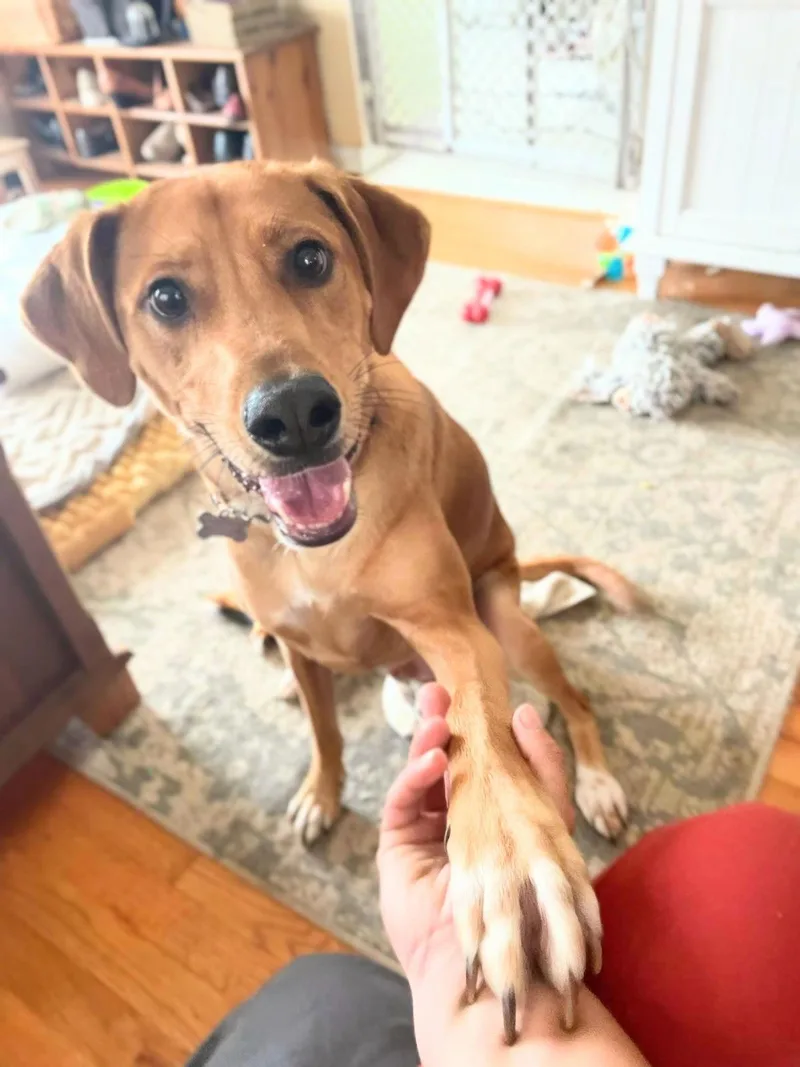 Moose Mcdougal thumbnail 2