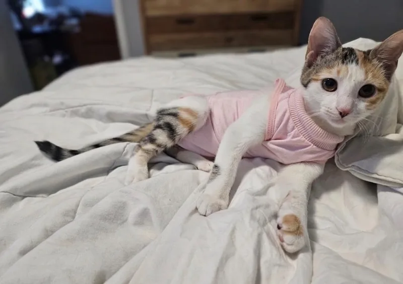 Baby thumbnail 3