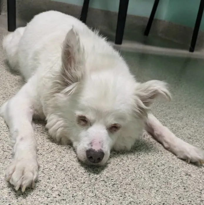 Lucycontact Rachel thumbnail 2