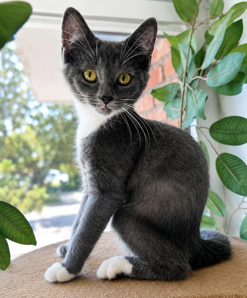 Stormi