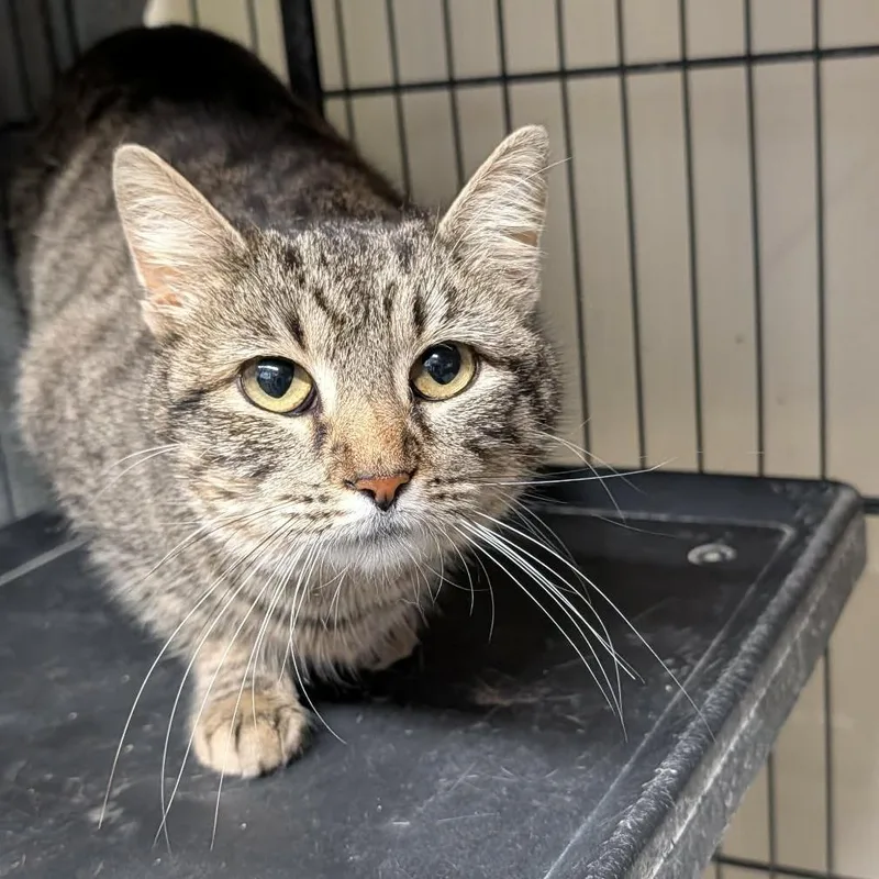 Svetlana thumbnail 2