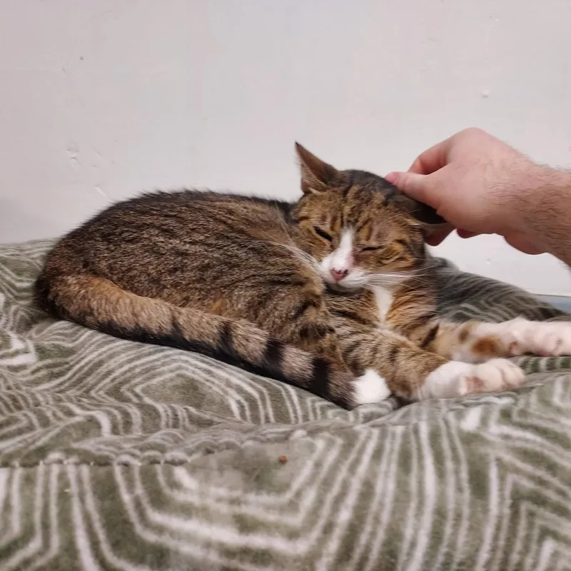 Barbara thumbnail 5