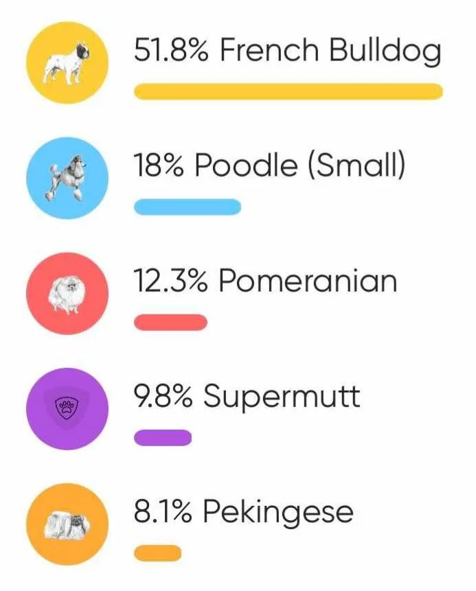 Sir Pierre thumbnail 5