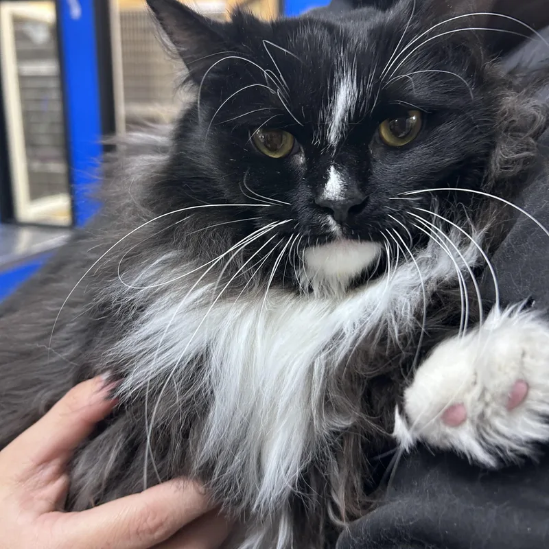 Lightning thumbnail 4