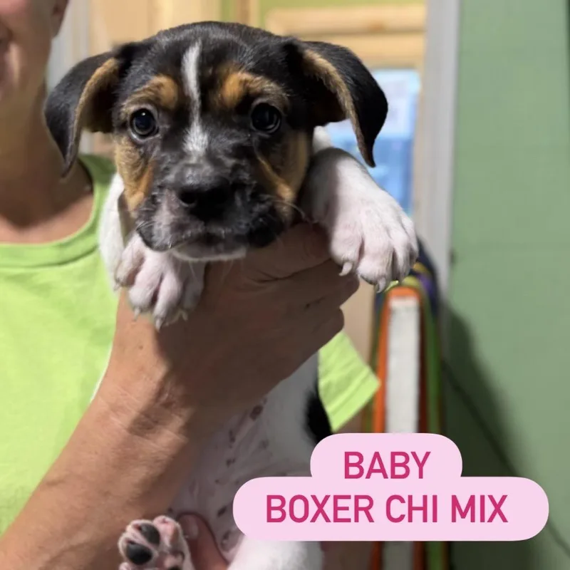 Baby thumbnail 3