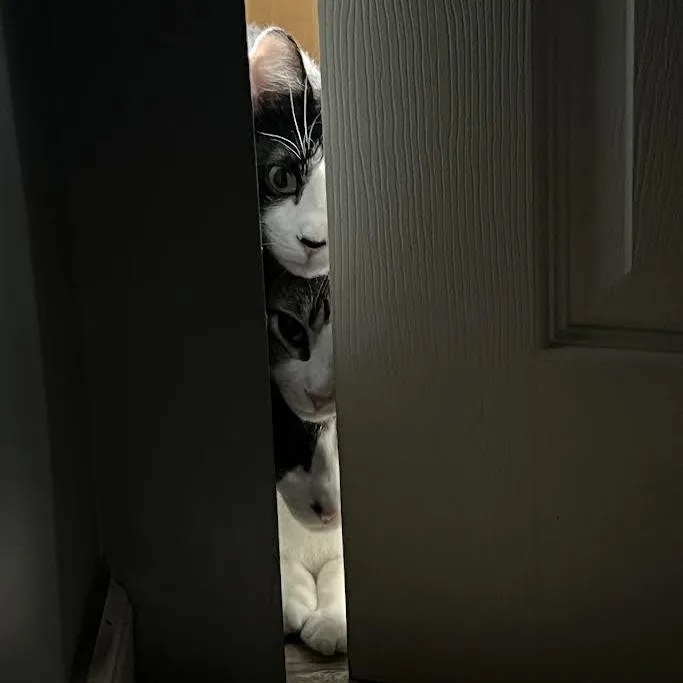 Squirt & Sunnie  thumbnail 2