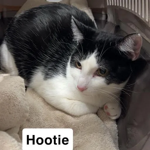 Squirt & Sunnie  thumbnail 3