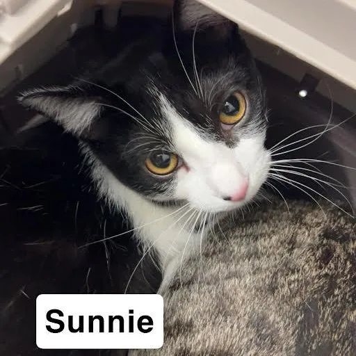 Squirt & Sunnie  thumbnail 4