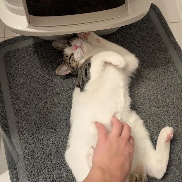 Squirt & Sunnie  thumbnail 5