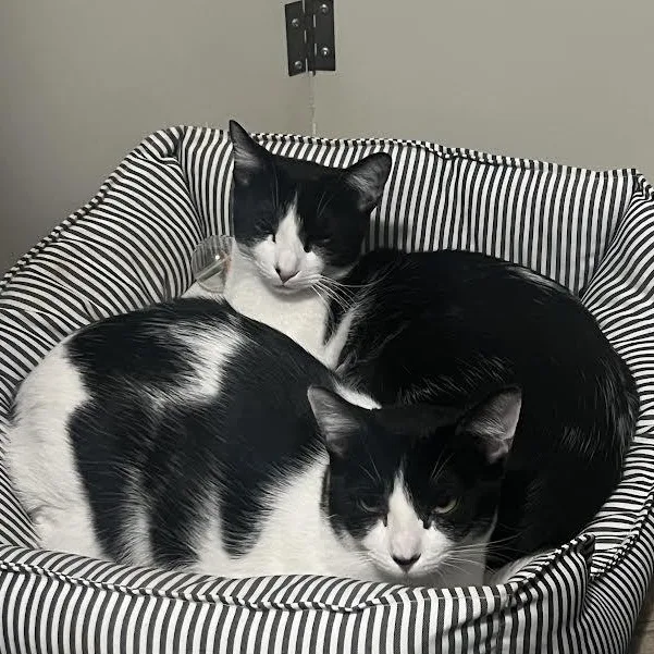 Squirt & Sunnie  thumbnail 6