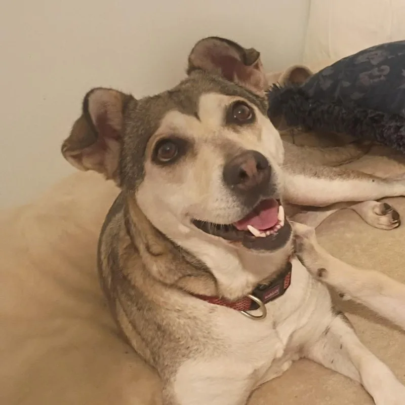 Sunny  Gentle Spirit thumbnail 2