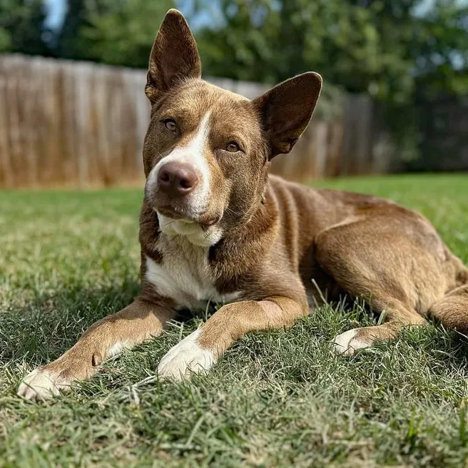 Luna Lu & Ghost thumbnail 2