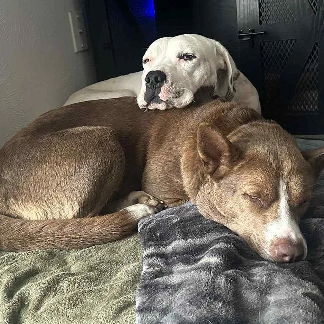 Luna Lu & Ghost thumbnail 3