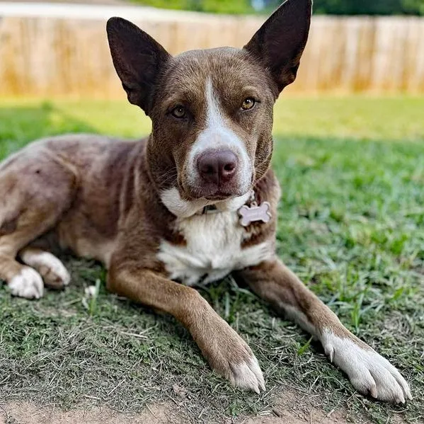 Luna Lu & Ghost thumbnail 4