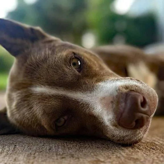 Luna Lu & Ghost thumbnail 5