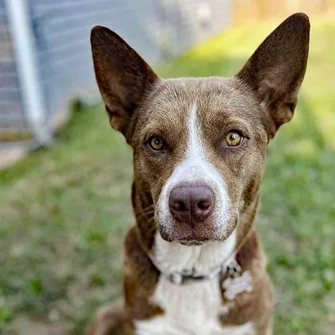 Luna Lu & Ghost thumbnail 6