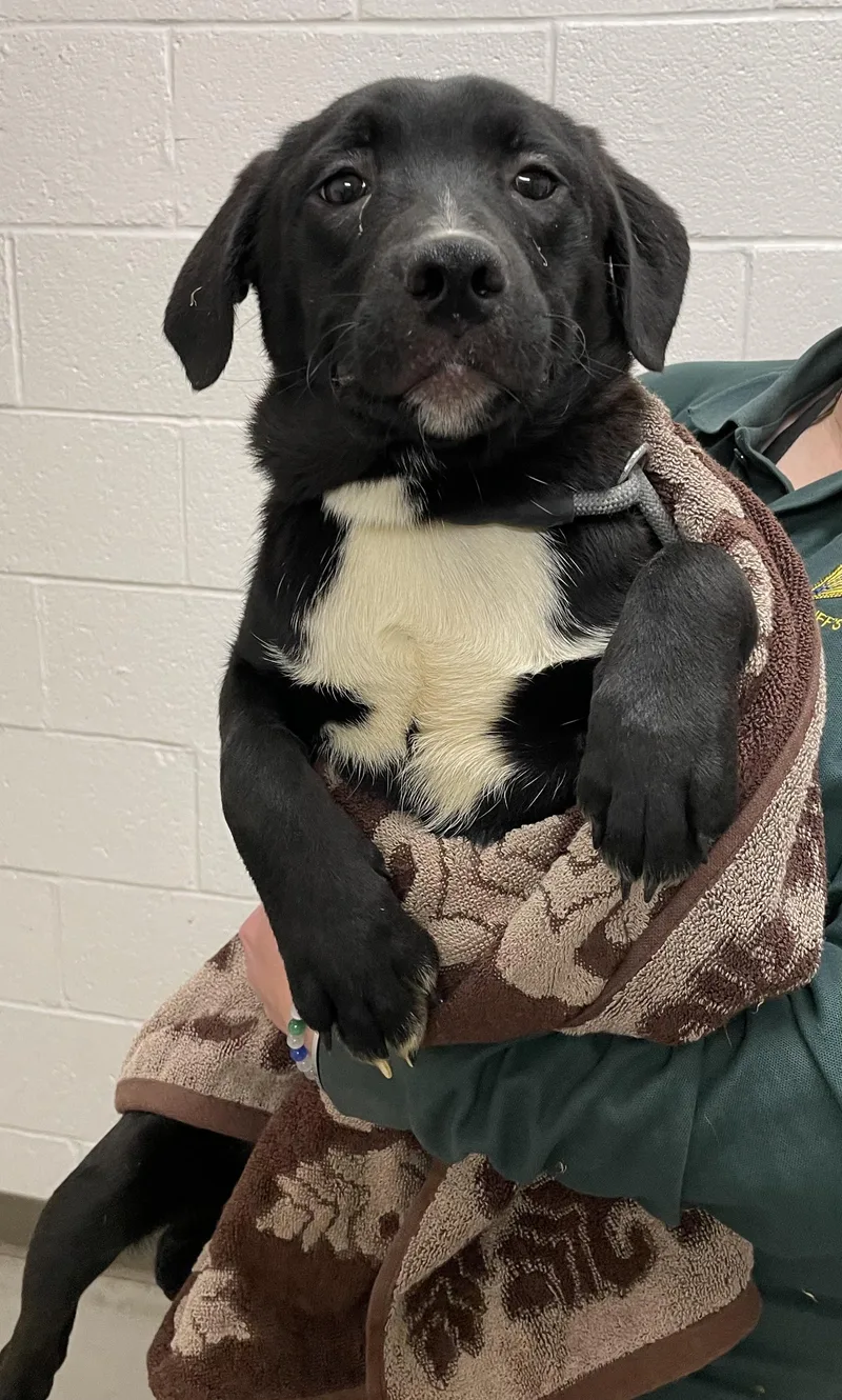 Chrissy Hold thumbnail 3