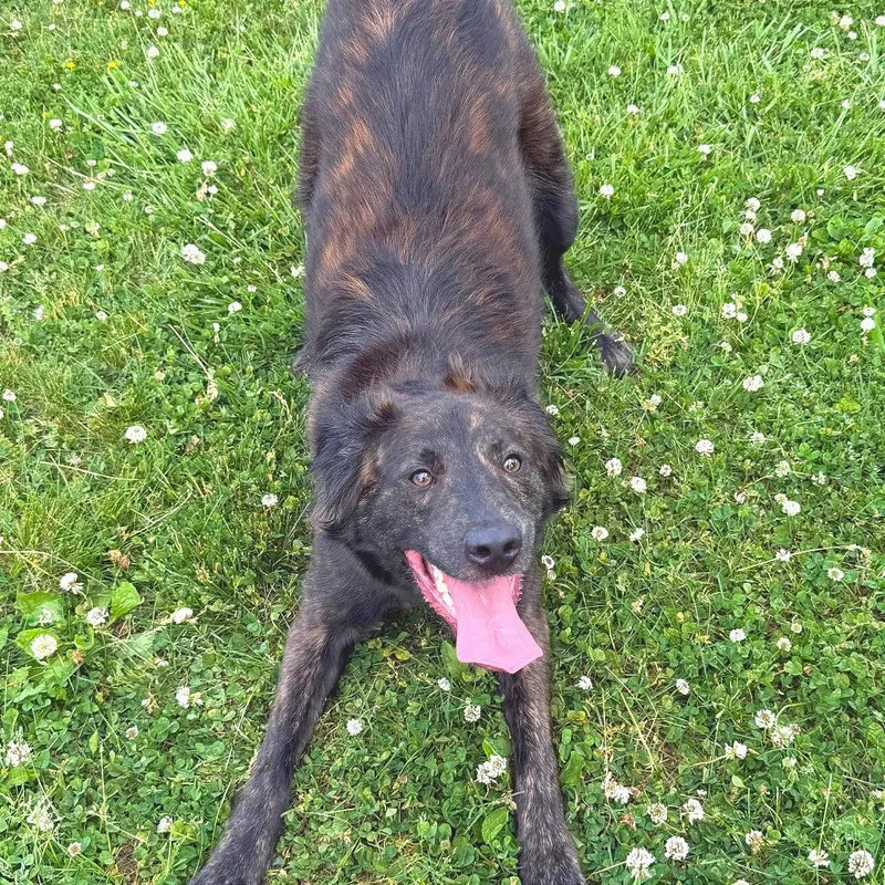 Loki thumbnail 2