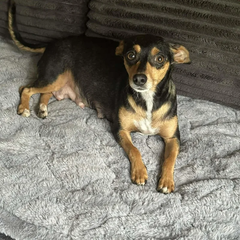 Florence thumbnail 2