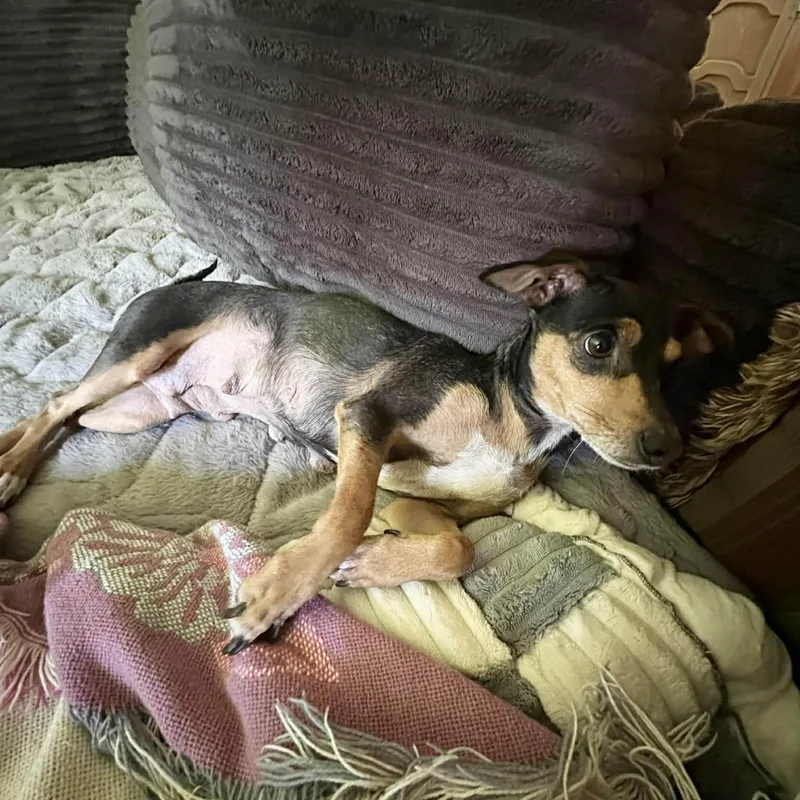 Florence thumbnail 3