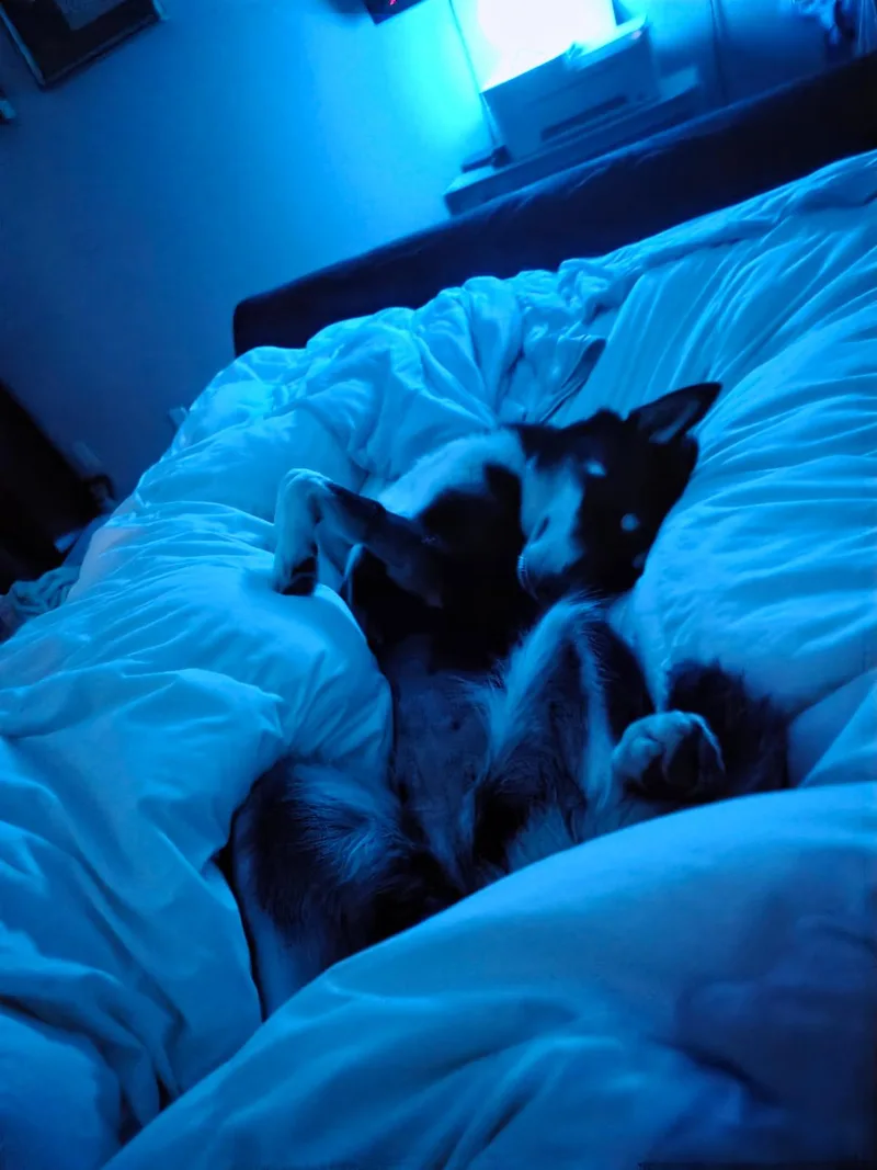 Jada thumbnail 2
