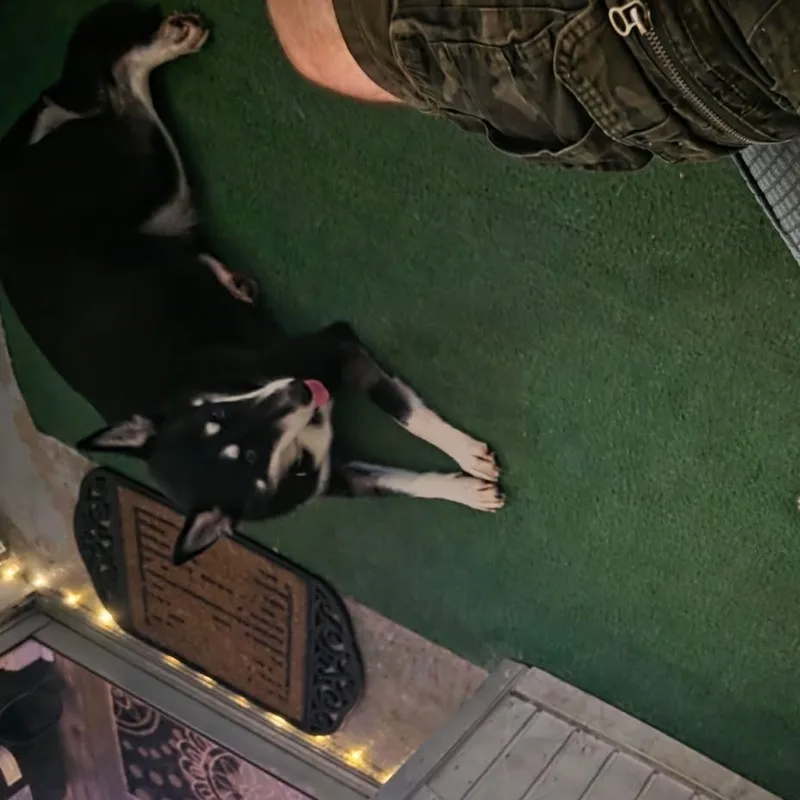 Jada thumbnail 3