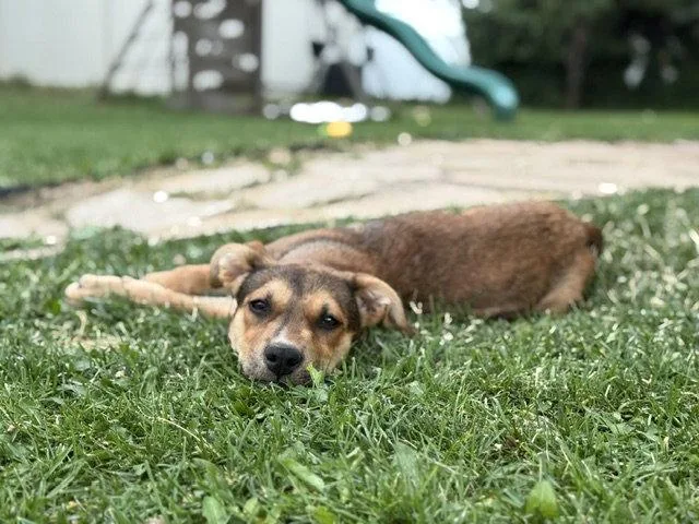 Rita