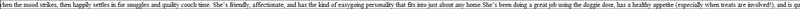 Mocha thumbnail 2