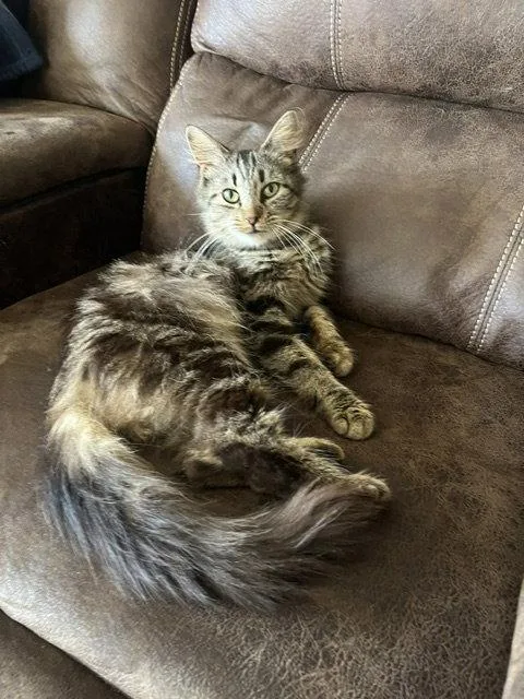 Lola