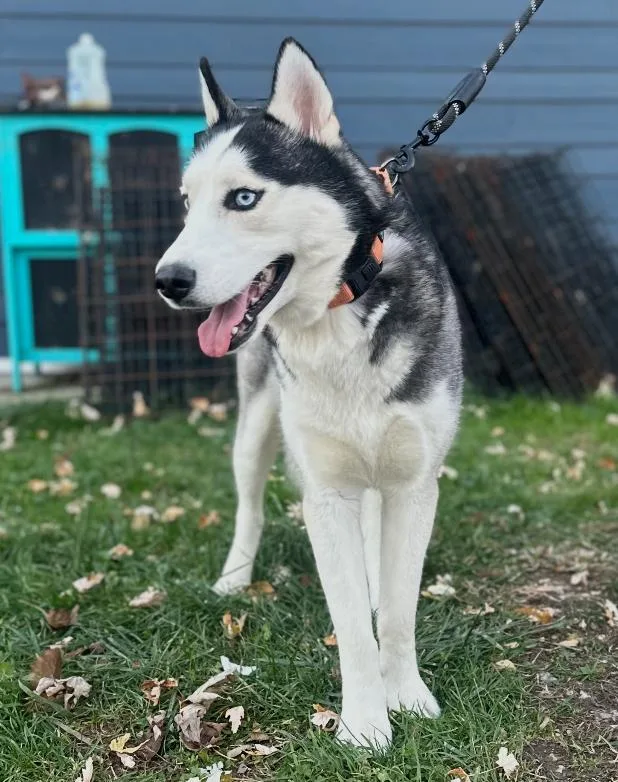 Hades! Sweet Easy Gentle thumbnail 2