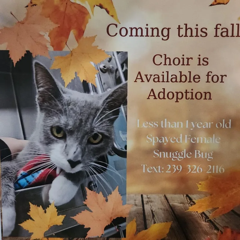 Choir thumbnail 2