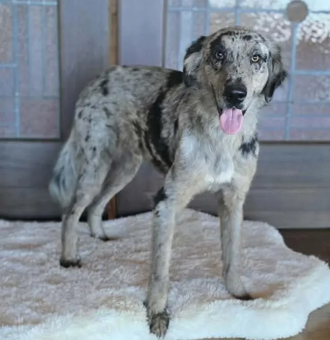 Huckleberry Finn thumbnail 2