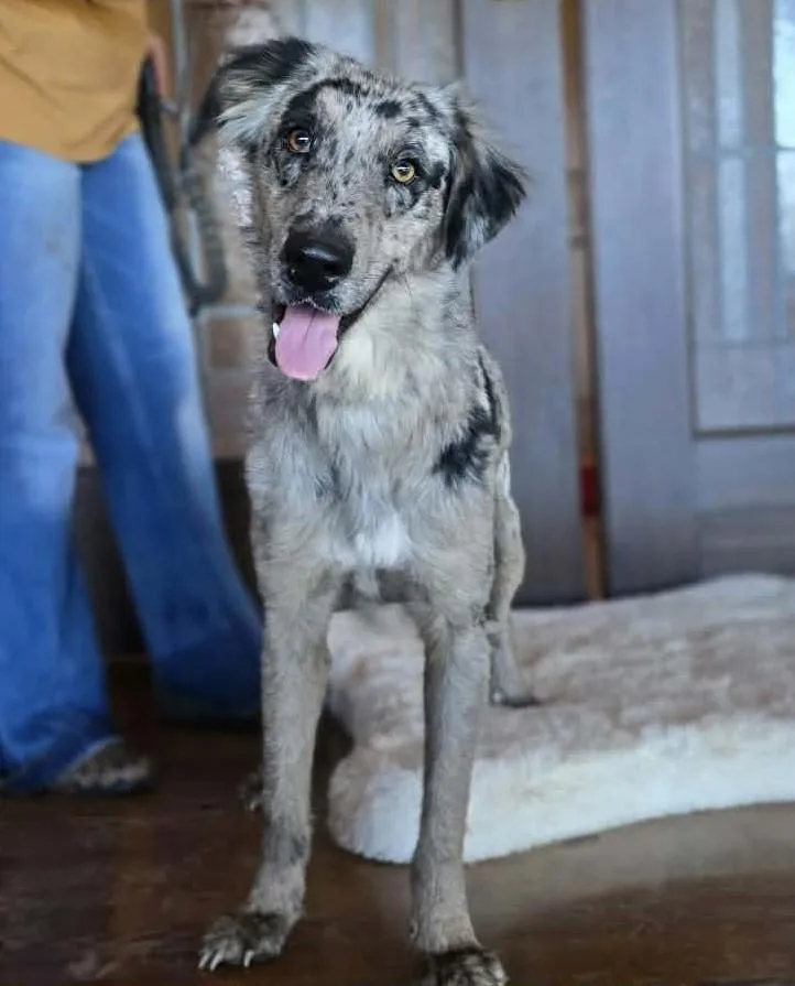 Huckleberry Finn thumbnail 5