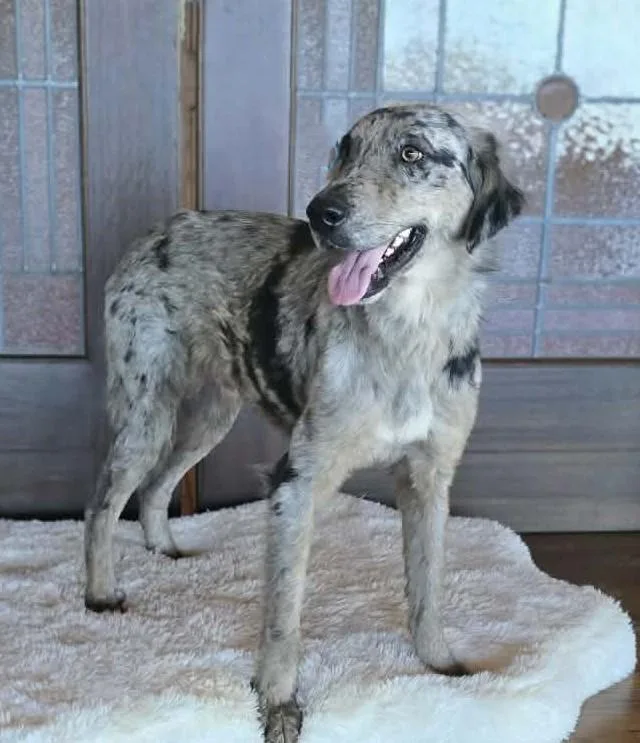 Huckleberry Finn thumbnail 6