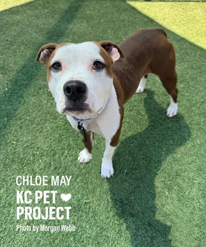 Chloe May thumbnail 2